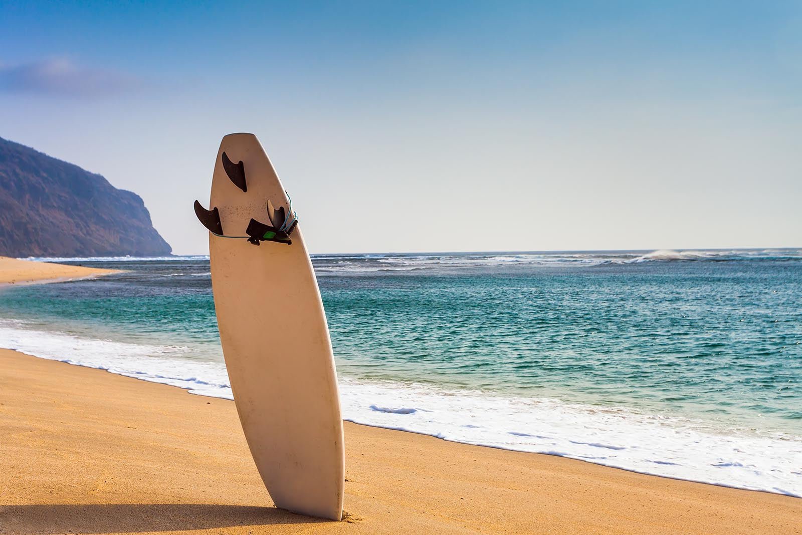 Surfboard Maintenance: Keeping Your Board Wave-Ready, Shreddy-Style - Shreddy