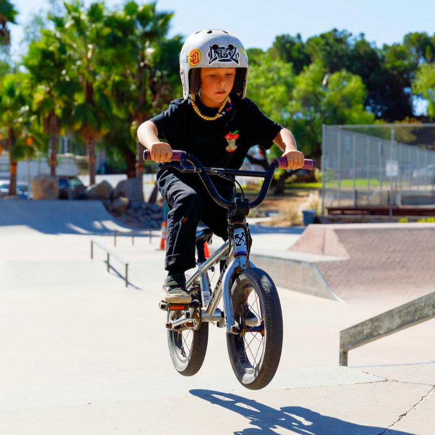 Apple Shirt Black (Youth) - Shreddy