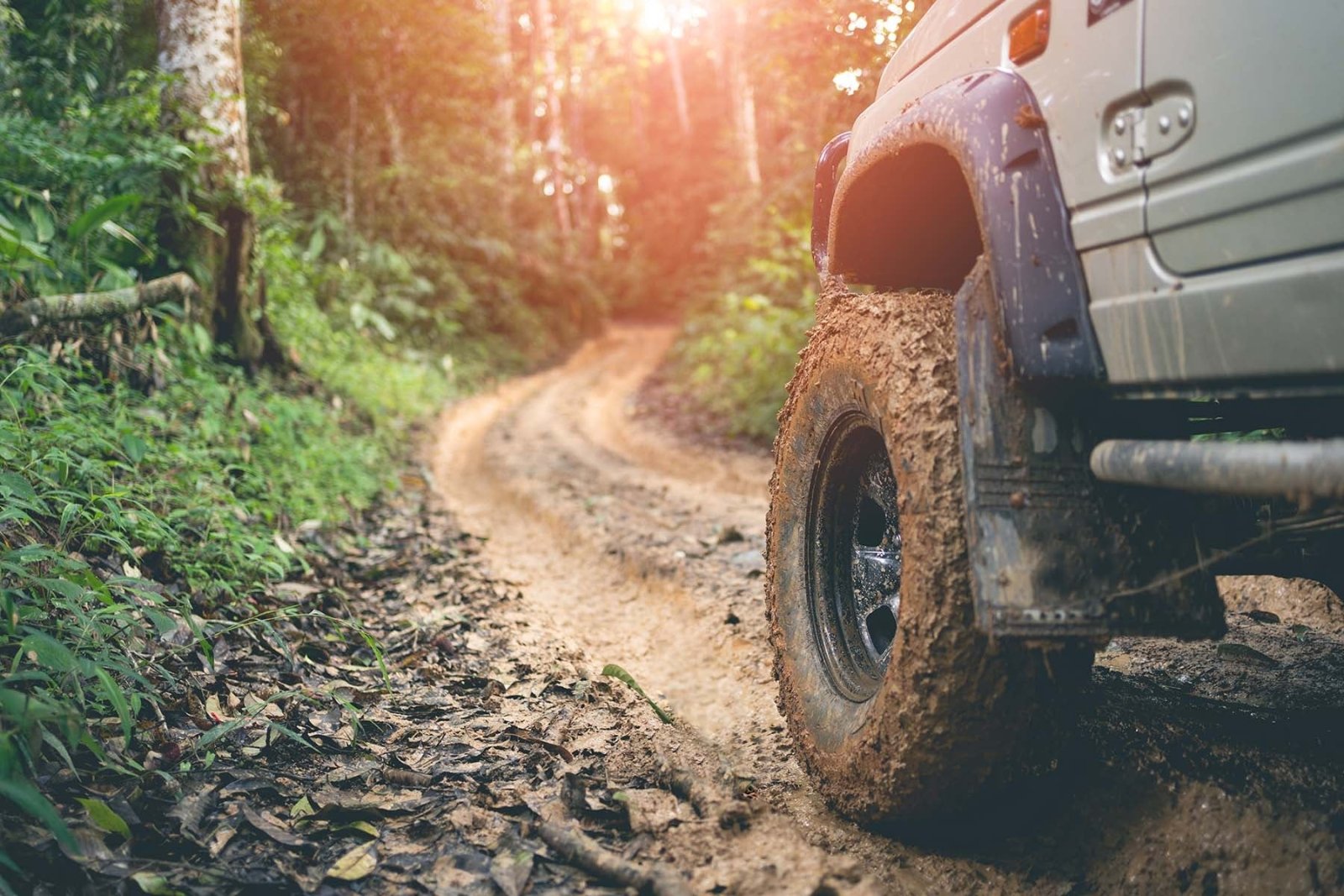 5 Must Have Items for Any off Road Adventure in 2024: A Shreddy Guide to Off Road Gear - Shreddy