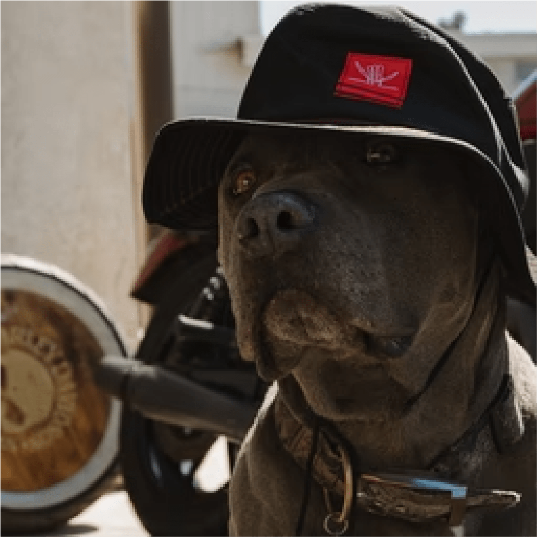 boonie headwear - Shreddy