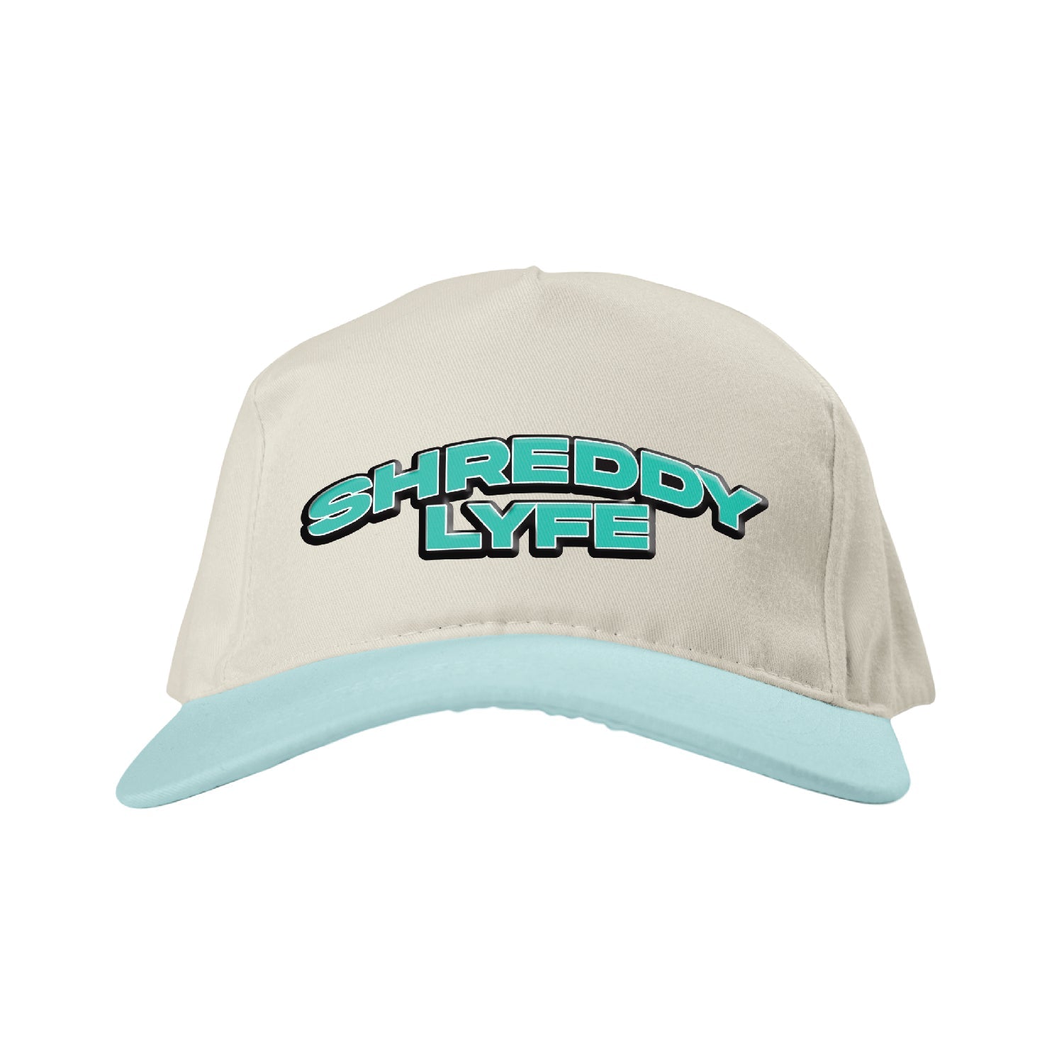 Tunes Curved Bill Snapback - Shreddy