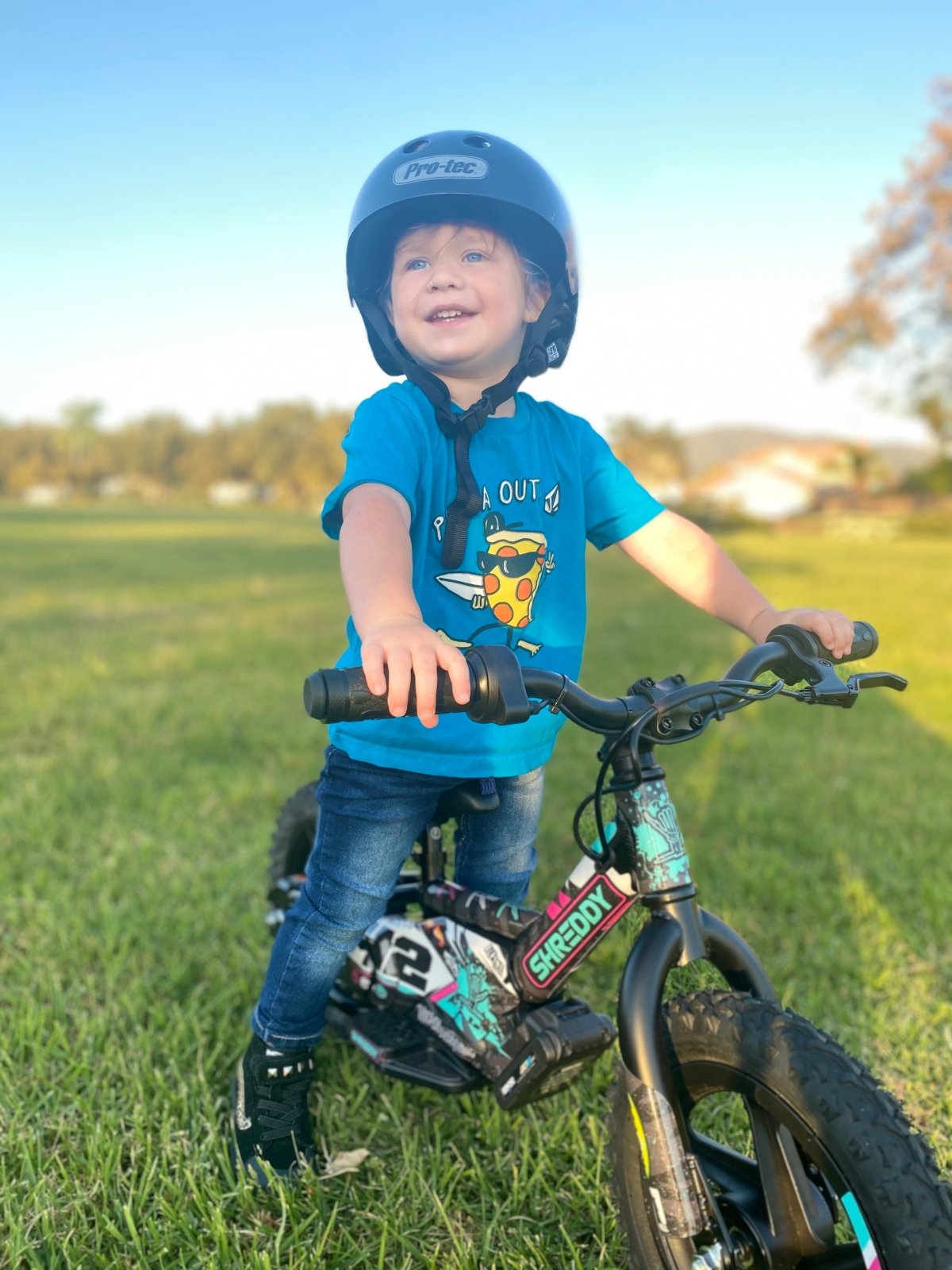 SHREDDY CUSTOM STACYC KIT GEN1 - Shreddy